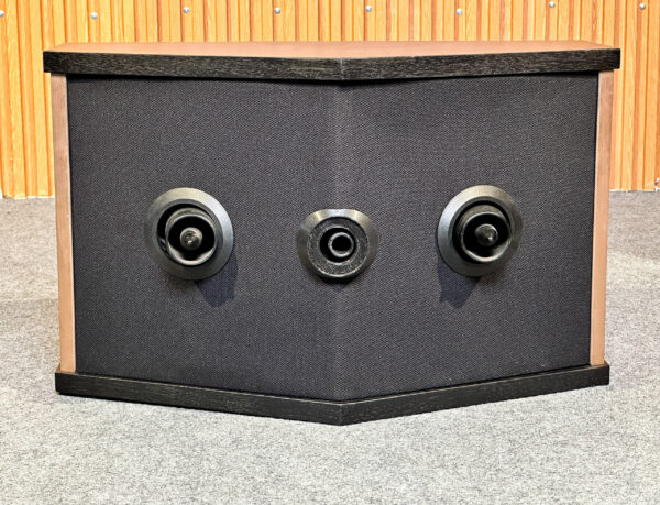 BOSE 901 SERIES V VINTAGE SPEAKERS