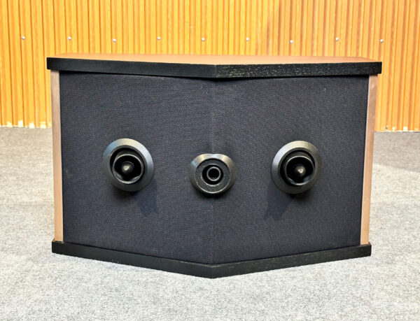BOSE 901 SERIES V VINTAGE SPEAKERS