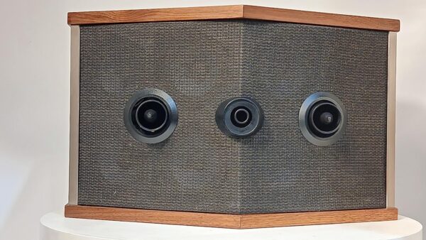 Bose 901-5 Speakers (7)